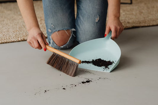 What Furniture Sprays Prevent Soiling?