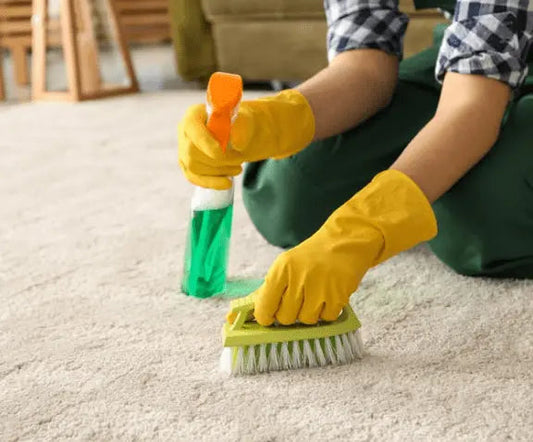 Wat is de beste professionele tapijt voorbehandelingsspray voor diepe tapijtreiniging? - Izyclean